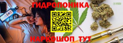 стаф Кимры